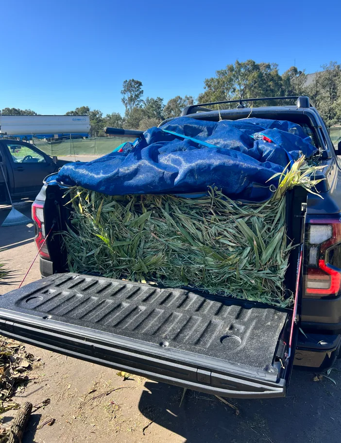 The Ranger carrying supplies for a home project